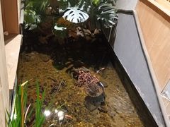 -邈墨茶馆(凤起路店)