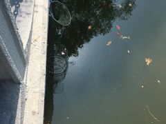 -上海佘山国家森林公园西佘山园