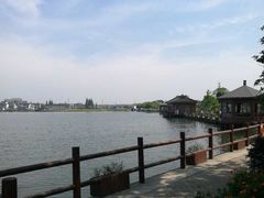 -鹅湖玫瑰文化园