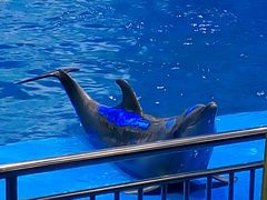 -多彩贵州城极地海洋世界