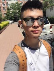 -大象造型