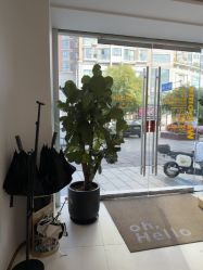 -WENDY·温迪皮肤管理