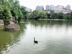 -南昌动物园