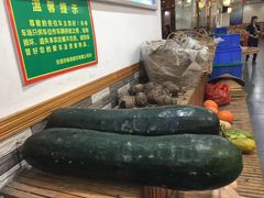 -锦湖农庄(松山湖梦幻百花洲店)