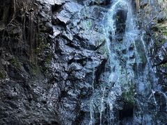 -马峦山郊野公园