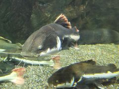 -太平洋海底世界