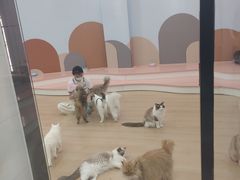 -1013 PET SHOP 宠物商店(近铁城市广场店)