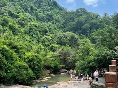 -广州白江湖森林公园