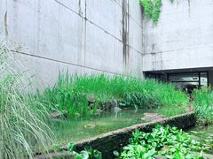 -中国湿地博物馆