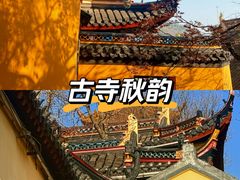 -狼山风景名胜区