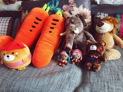 -PAWTOY爪e玩偶店(天兴罗斯福店)