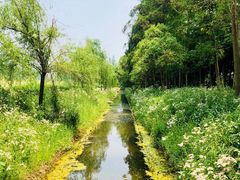 -前小桔亲子创意农场·草莓采摘·露营烧烤