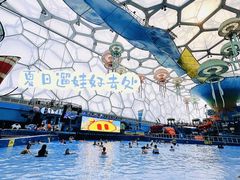 -水立方嬉水乐园