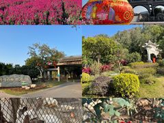 南门的样子-顺峰山公园