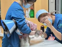 -联合动物医院(光谷诊疗中心)