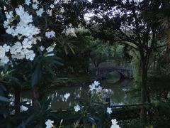 -瀛洲公园
