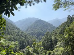 -大奇山国家森林公园