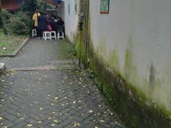 -张醪糟