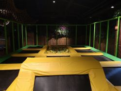 -奇幻丛林(佛罗伦萨小镇店)