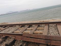 -海堤纪念公园