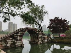 -青枫公园
