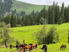 -新疆那拉提国家旅游度假区