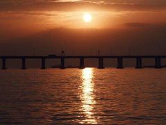 -宝安西湾红树林湿地公园