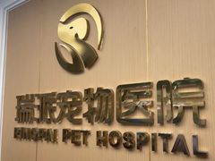 -瑞派康怡24h宠物医院·犬猫医疗中心·微创绝育(瑞景分院)