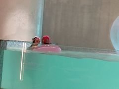 -涨巢·潮玩水疗局