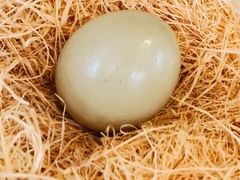 -青岛遇见米兰(八大关店)