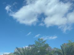 -大中华希尔顿酒店-念自助餐·嗨啤·小龙虾
