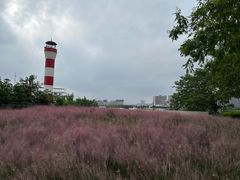 -上海山野camping·户外天幕烧烤·团建拓展营地