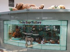 -济州岛泰迪熊博物馆