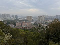 -福道