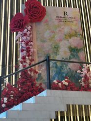 -南京华泰万丽酒店·宴会厅