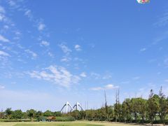 -春花秋色城市公园