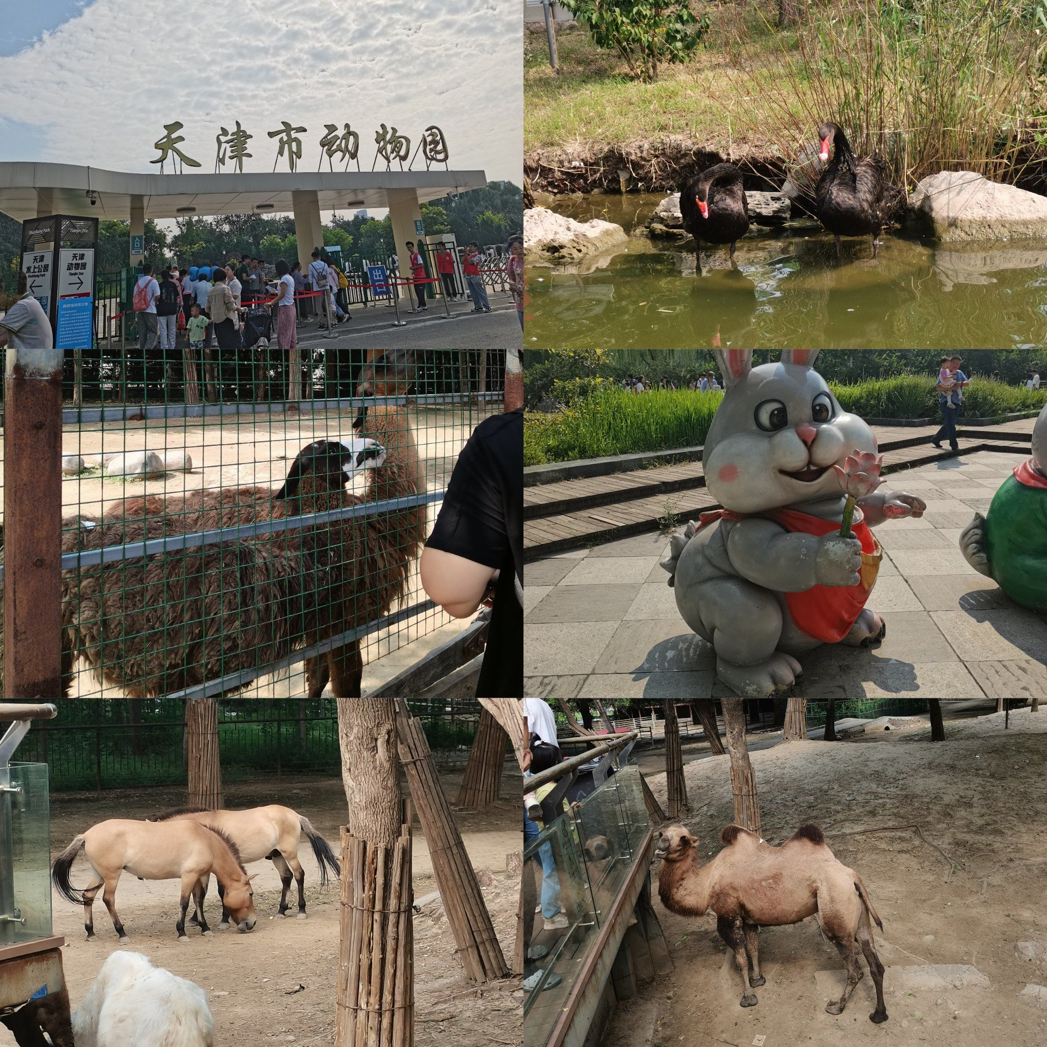 天津动物园