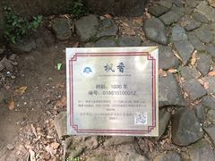 -西湖风景区十里琅珰-五云山