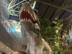 -湖南省地质博物馆