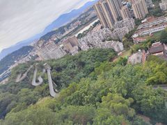 -福道