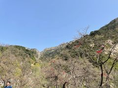 -泰山风景名胜区