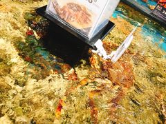 -盒马鲜生(皇庭广场店)