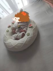 -西瓜庄园儿童摄影