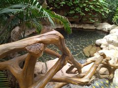 -龙达温泉生态城