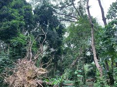 -华南国家植物园-售票处