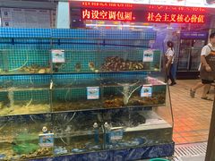 水产区-范饭椰林川湘味海鲜·椰子鸡(三亚湾椰梦长廊店)