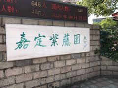 -嘉定紫藤园