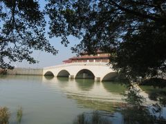 -大湾区中央湿地公园