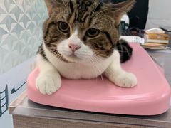 -荔康动物医院(康王北路店)