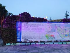 -杭州湾海上花田景区